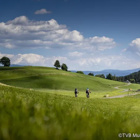 Kreischberg Ferienhaeuser By Alps Chalet Sankt Lorenzen ob Murau